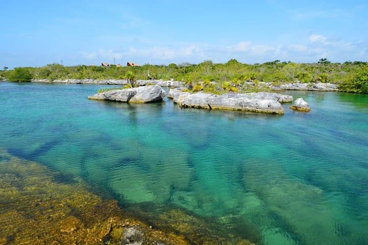 Yalku Lagoon & Cenote Swim: Snorkel Akumal's Marine Garden with Guide photo 6