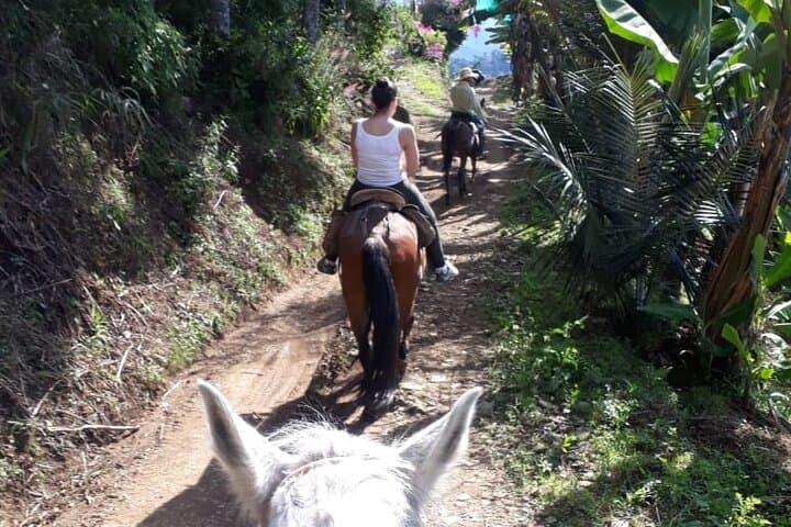 Private Day Tour to Jardín: Horseback Ride, Coffee Villa & Waterfall from Medellín photo 2
