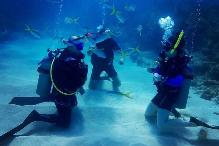 Advanced Open Water Diver Course in Bávaro — 30m Caribbean Deep Dives photo 3