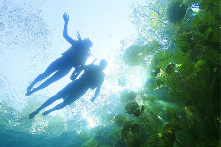 2-Day Riviera Maya Cenotes & Xel-Ha Ecoparks Adventure with Transport photo 1