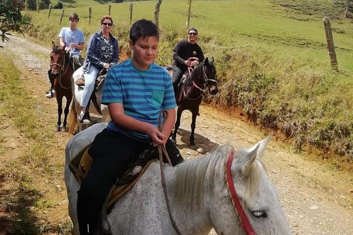 Horseback Riding in the Andes from Medellin: Half-Day Hacienda Ride photo 1
