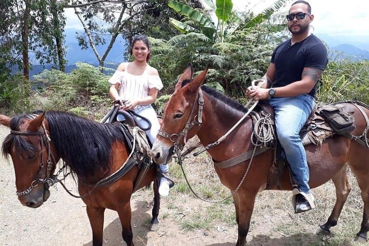 Horseback Riding in the Andes from Medellin: Half-Day Hacienda Ride photo 3