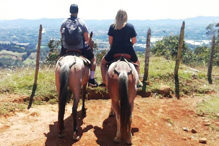 Horseback Riding in the Andes from Medellin: Half-Day Hacienda Ride photo 4