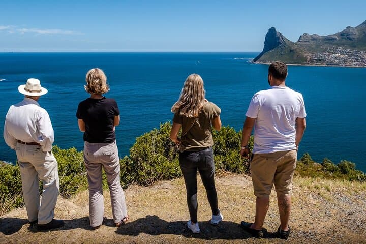Full-Day Cape Point Tour — Chapman's Peak, Boulders Penguins & Peninsula Villages