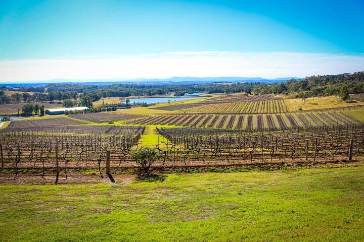 Hunter Valley Private Tour: Custom Full-Day Wine & Food Experience in Pokolbin photo 5