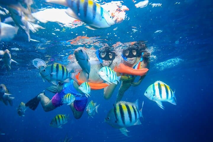Private Catamaran to Isla Mujeres: Snorkel, Beach Club & Open Bar photo 3