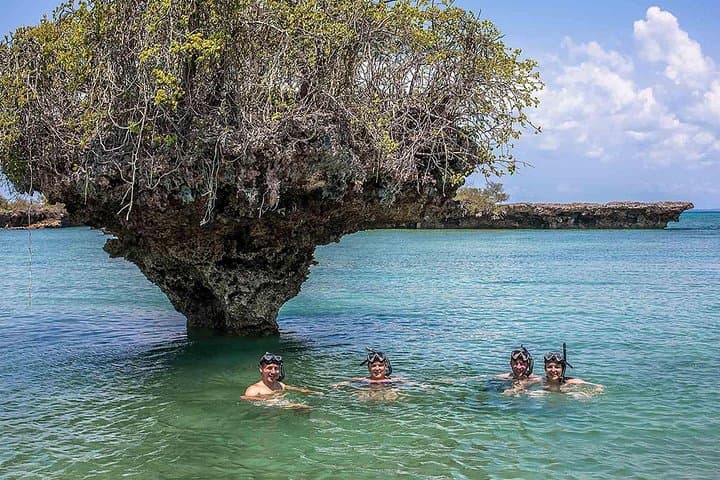 Safari Blue Full-Day Dhow Trip from Fumba — Sandbank, Snorkel & Seafood Buffet