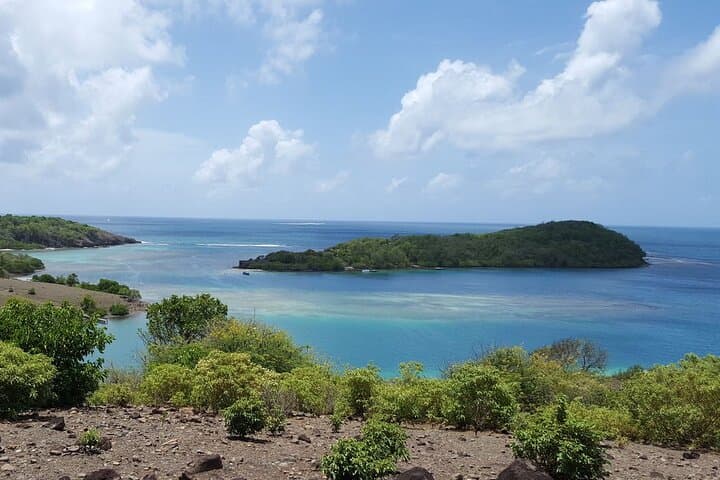 Half-Day Kayak Rental in Robert's Bay: Explore Chancel Islet & Mangroves photo 3