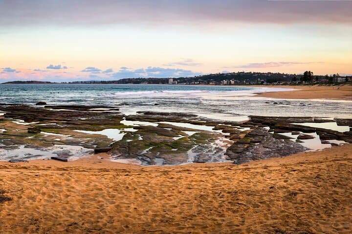 South Coast Private Charter: Grand Pacific Drive, Kiama Blowhole & Kangaroo Valley Day Tour photo 5