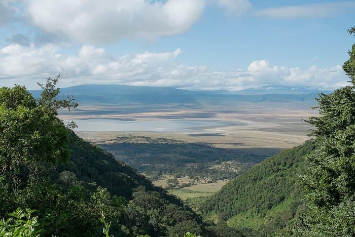 6-Day Lake Manyara, Serengeti & Ngorongoro Safari: Crater Walls, Tree-Climbing Lions and Tarangire Elephants photo 1