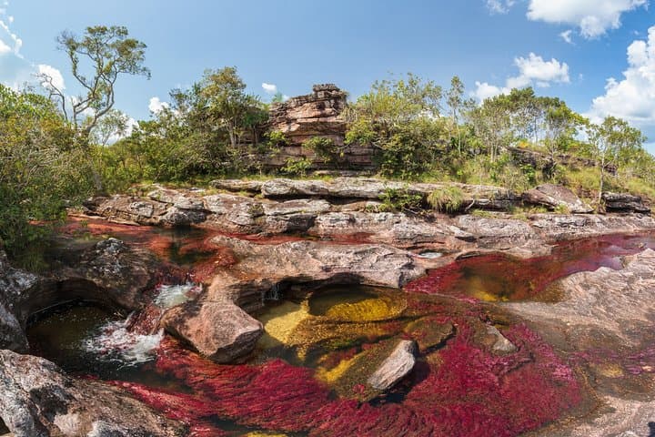 4-Day Caño Cristales Adventure: When to Go, What to Expect photo 3