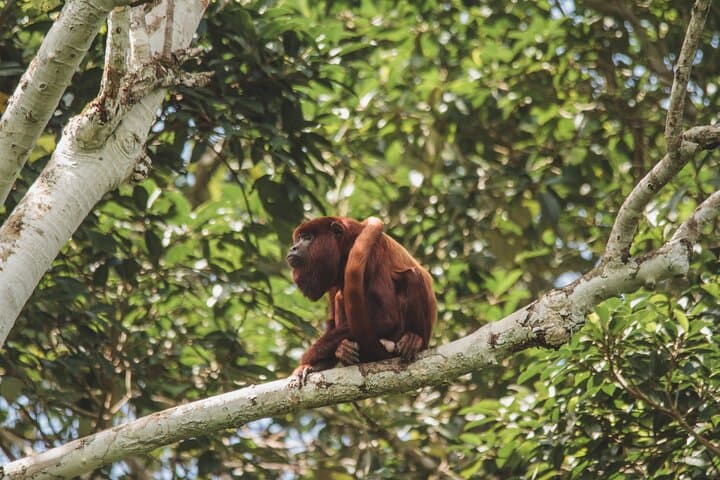 4-Day Caño Cristales Adventure: When to Go, What to Expect photo 6