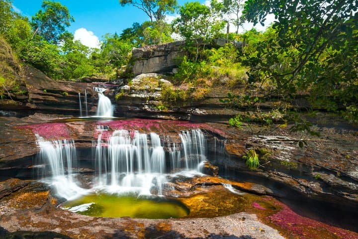 4-Day Caño Cristales Adventure: When to Go, What to Expect