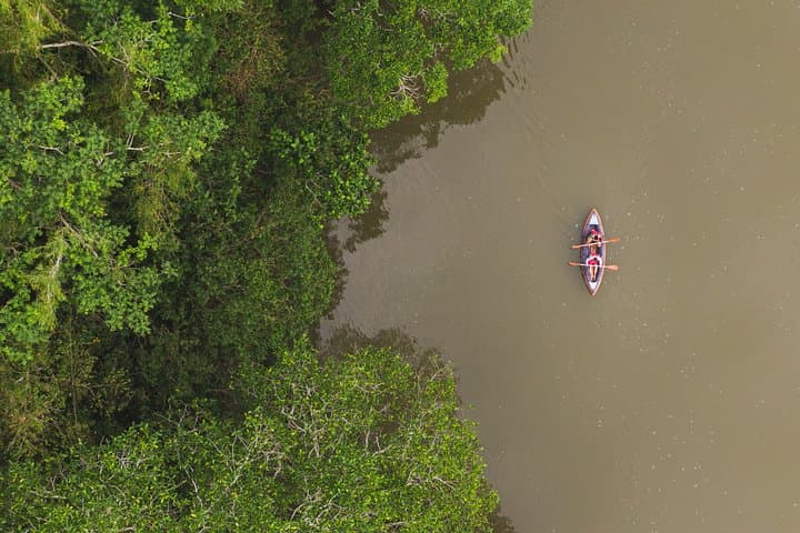 4-Day Caño Cristales Adventure: When to Go, What to Expect photo 2
