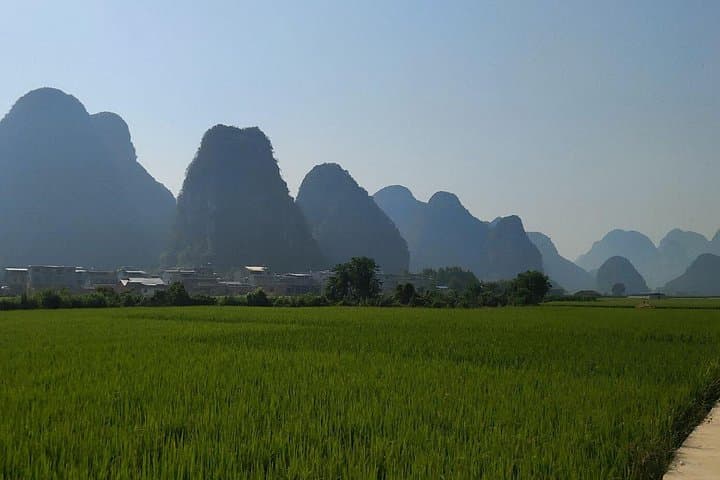 Guilin Day Tour: Longji Rice Terraces, Reed Flute Cave & Yangshuo Transfer photo 2