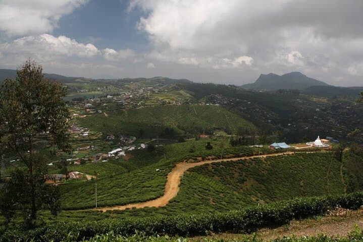 Trekking Single Tree Hill: Half-Day Hike & Lake Gregory Picnic in Nuwara Eliya photo 3