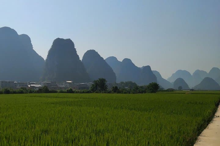 Guilin Day Tour: Reed Flute Cave, Elephant Hill & Longji Rice Terraces from Yangshuo photo 2