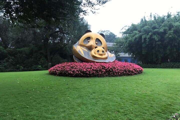Chengdu Panda Base to Leshan Giant Buddha: Private Day Trip from Chengdu photo 6