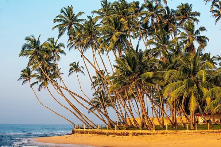 Galle Hidden Temples and Secluded Coastlines Private Day Tour photo 3