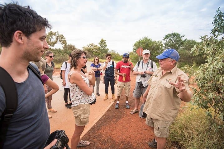 3-Day Uluru, Kata Tjuta & Kings Canyon Camping Safari from Ayers Rock photo 2