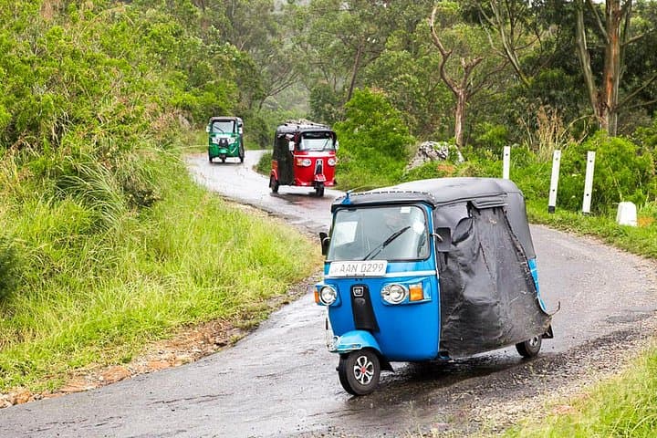 Ella Tuk Tuk Adventure: Rakkitha Kanda, Buduruwagala & Maligawila in 4 Hours photo 4