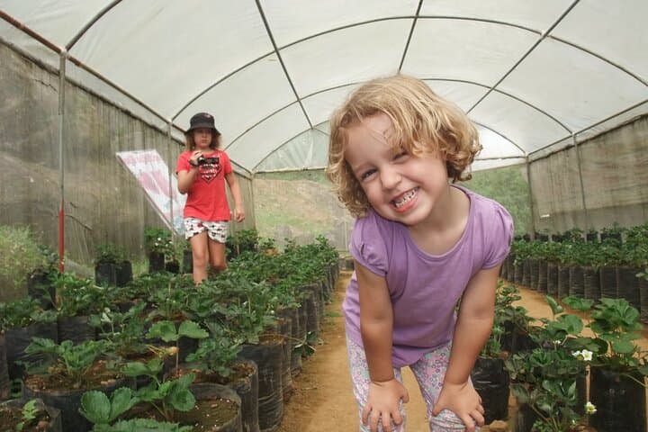 Sri Lanka Agro Tour: 5-Day Farm-to-Field Cultural Experience photo 6