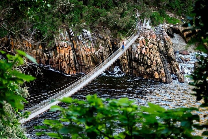 8-Day Wild Coast & Garden Route Essentials: Storms River, Cango Caves & Cape Winelands