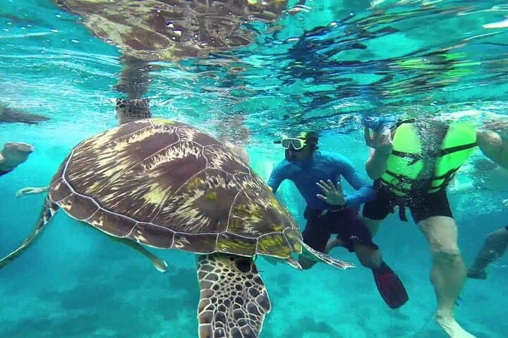 Speedboat to the Similan Islands: Full-Day Snorkel Trip from Phuket photo 3