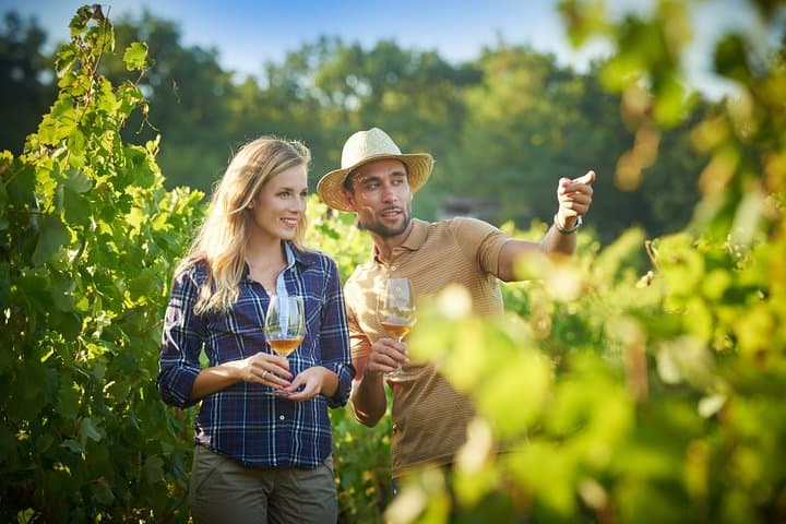 Explore the Slovenian Kras: Škocjan Caves, Lipica & Štanjel Day Tour from Ljubljana