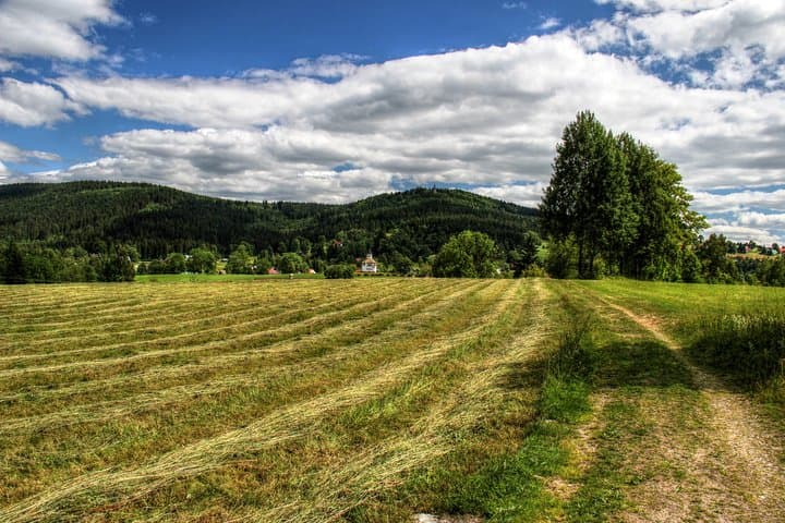 Private Prague to Salzburg Transfer — Comfortable Mercedes Minivan Ride (5 hrs) photo 6