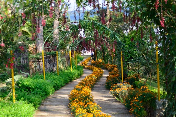 Day Trip to Mawlynnong: Cleanest Village & Living Root Bridges from Shillong