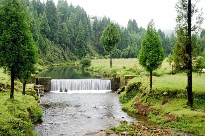 Day Trip to Mawlynnong: Cleanest Village & Living Root Bridges from Shillong photo 5
