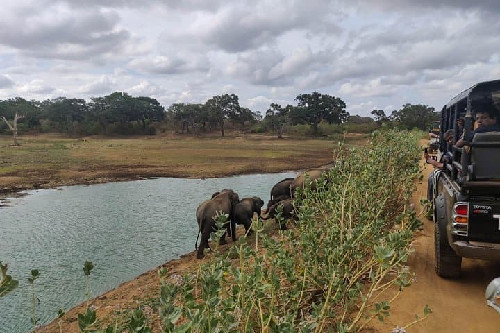 Yala National Park Safari from Koggala — Day Trip to See Leopards & Elephants photo 2
