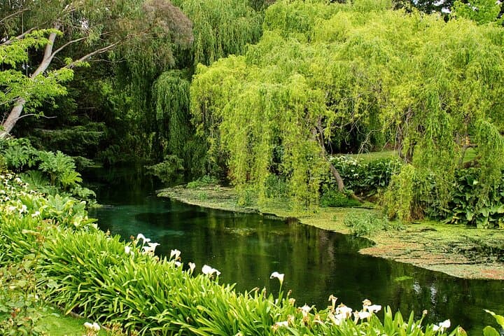 Winter Wine Tour of Marlborough: Private Blenheim Tastings & Scenic Drives photo 2