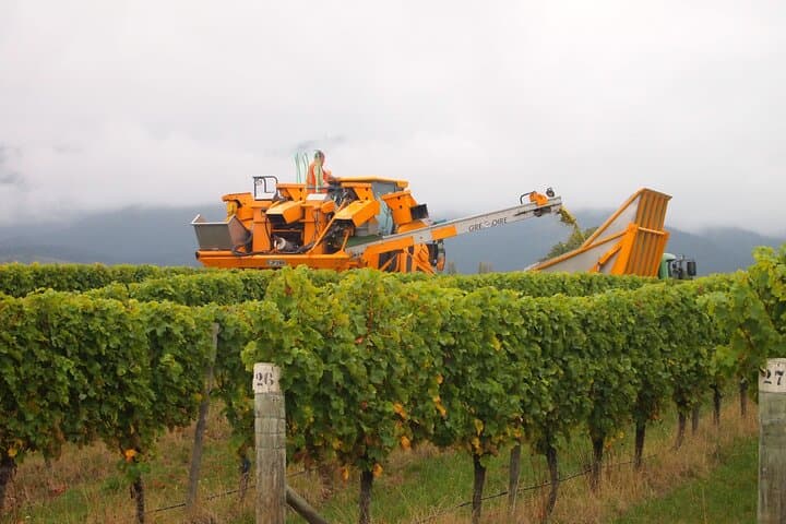 Winter Wine Tour of Marlborough: Private Blenheim Tastings & Scenic Drives photo 5
