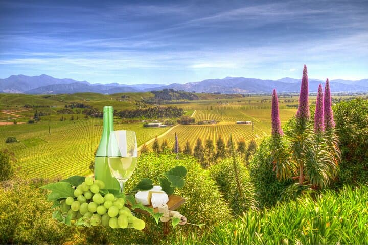 Winter Wine Tour of Marlborough: Private Blenheim Tastings & Scenic Drives photo 6