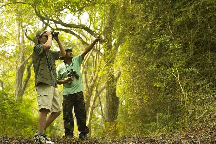 Rainforest Explorer: 2-Day Sinharaja Rain Forest Safari from Bentota photo 5