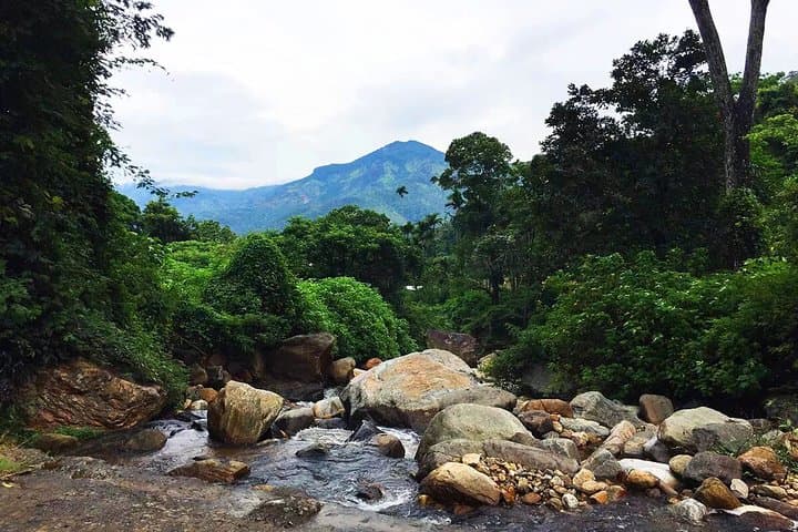 Secret Waterfall Walk from Ella — Trek to a Natural Swimming Pool