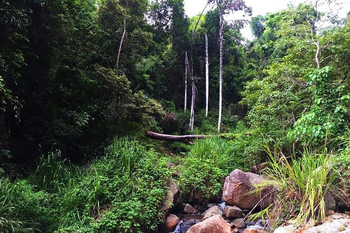 Secret Waterfall Walk from Ella — Trek to a Natural Swimming Pool photo 6