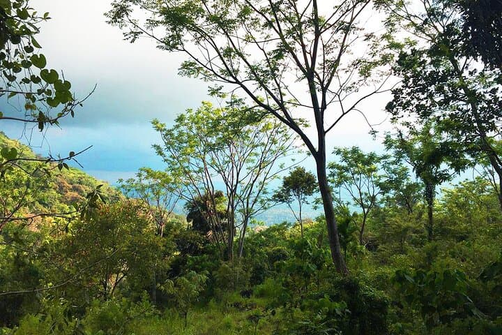Secret Waterfall Walk from Ella — Trek to a Natural Swimming Pool photo 5