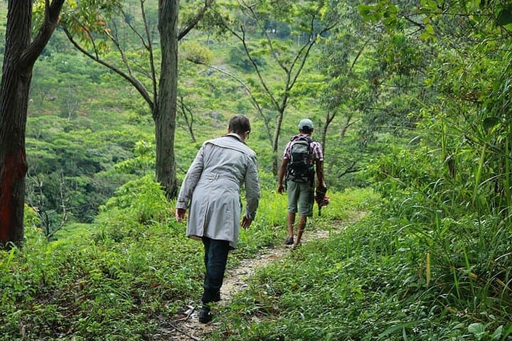 Rainforest Explorer: 2-Day Sinharaja Rain Forest Safari from Bentota photo 6