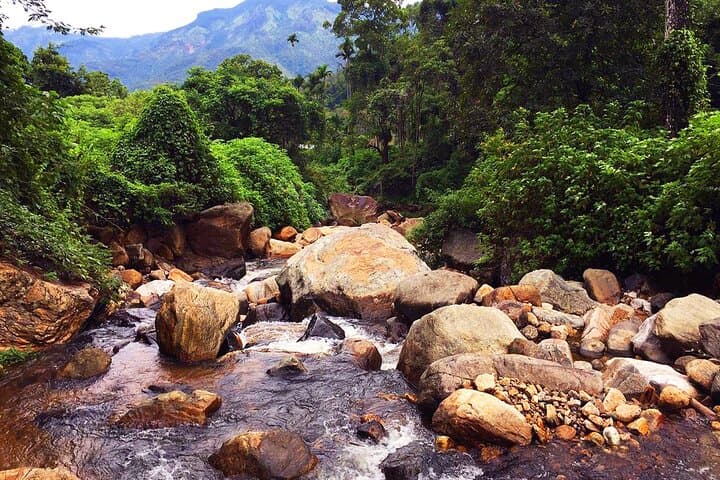 Secret Waterfall Walk from Ella — Trek to a Natural Swimming Pool photo 4