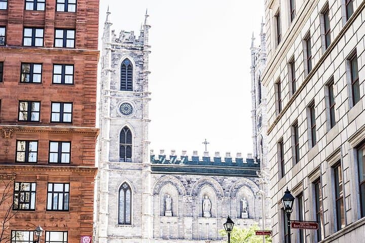 Private 4-Hour Montreal City Tour — Mount Royal, Old Montréal and Jean-Talon Market photo 5