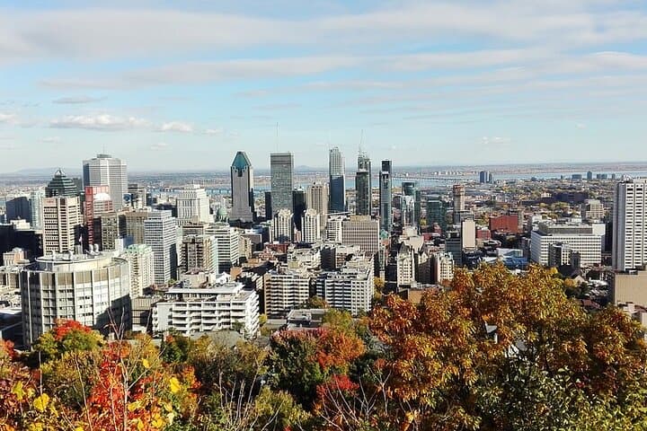 Private 4-Hour Montreal City Tour — Mount Royal, Old Montréal and Jean-Talon Market