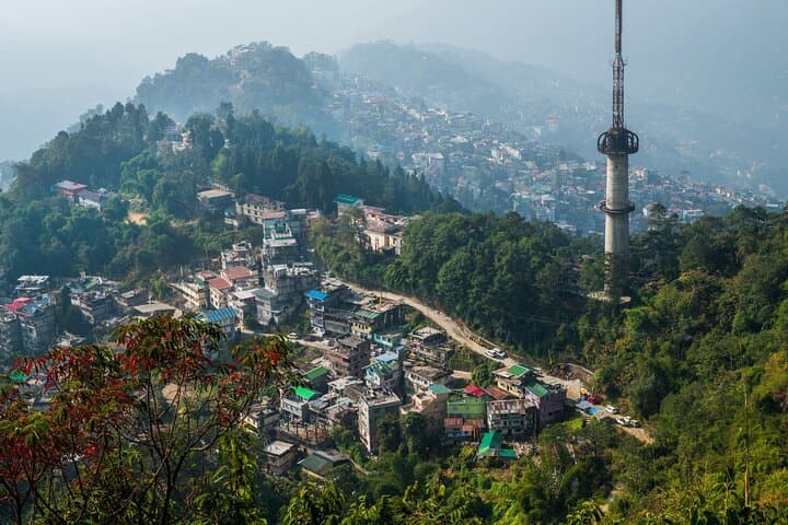 Gangtok Full-Day Sightseeing: Monasteries, Markets & Ropeway Highlights photo 4