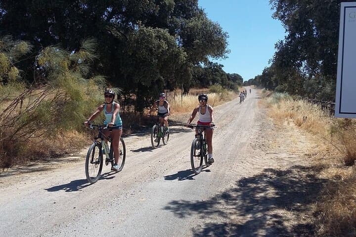 Self-Guided MTB Ronda to Setenil de las Bodegas — 30km Easy Ride Through Andalucian Cave Village photo 2