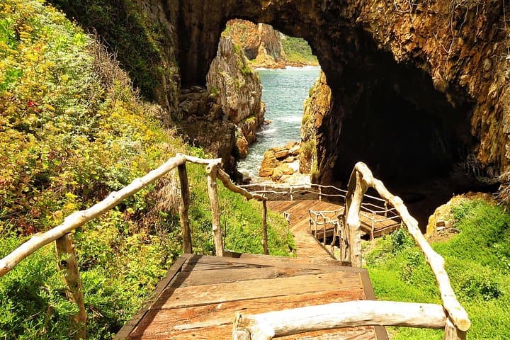 5-Day Winelands and Garden Route Discovery: Cape Winelands to Tsitsikamma photo 1