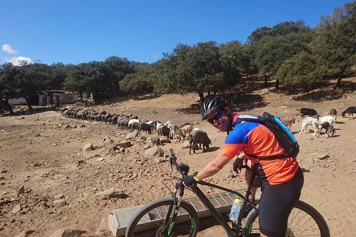 45km MTB Loop in Grazalema Natural Park — Moderate Cross-Country Ride photo 3