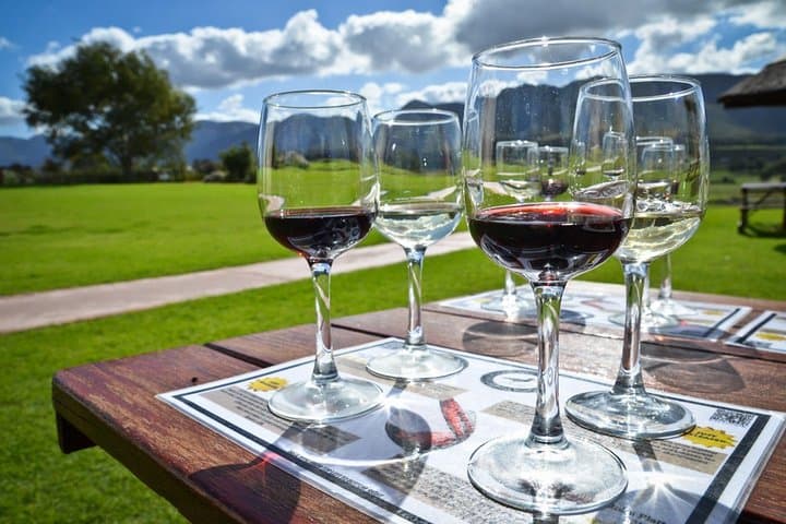 Full-Day Cape Winelands Wine Tour: Stellenbosch & Franschhoek Tasting Journey