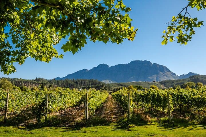 8-Day Wild Coast & Garden Route Essentials: Storms River, Cango Caves & Cape Winelands photo 4